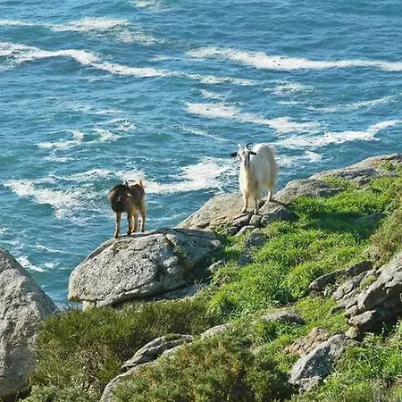 Paseo Del Puerto Finisterre