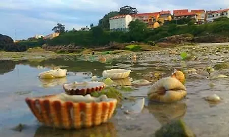 Paseo Del Puerto Lägenhet