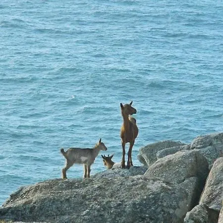 Lägenhet Paseo Del Puerto *
